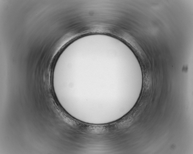 X0000091520886200709141413