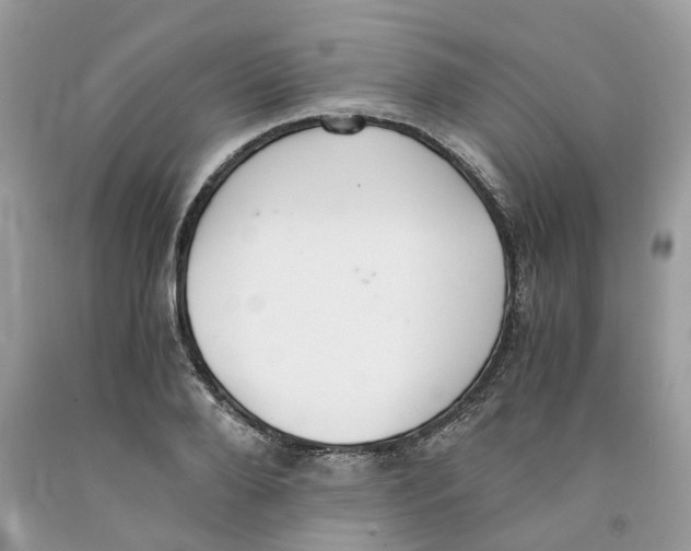 X0000091520888200709141413