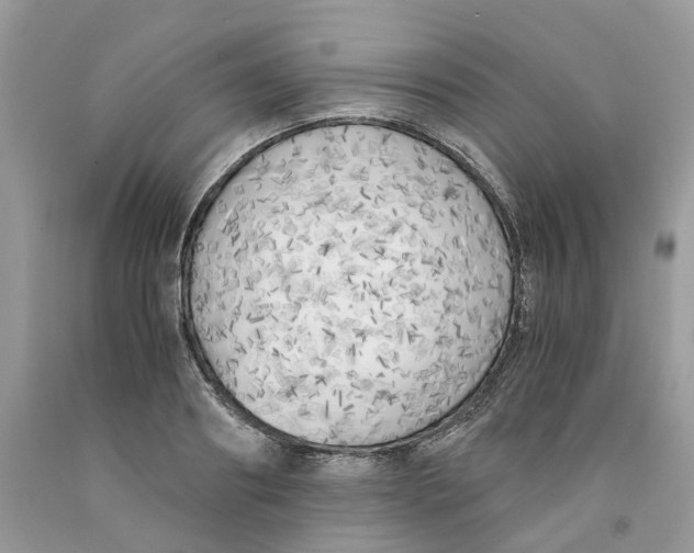 X0000091520890200709141413
