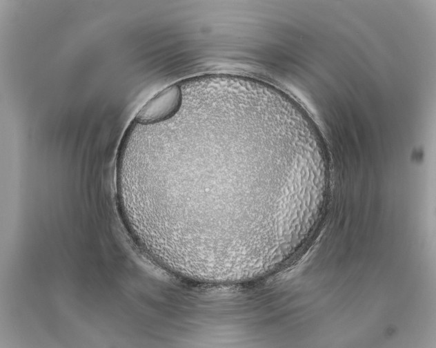 X0000091520891200709141413