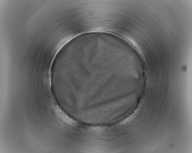 X0000091520892200709141412