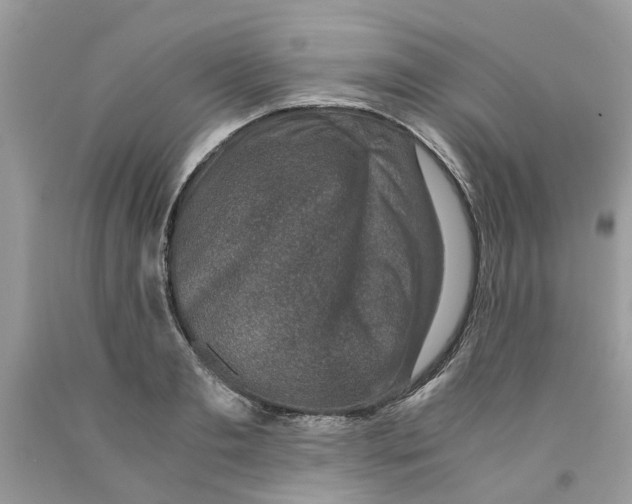 X0000091520893200709141412