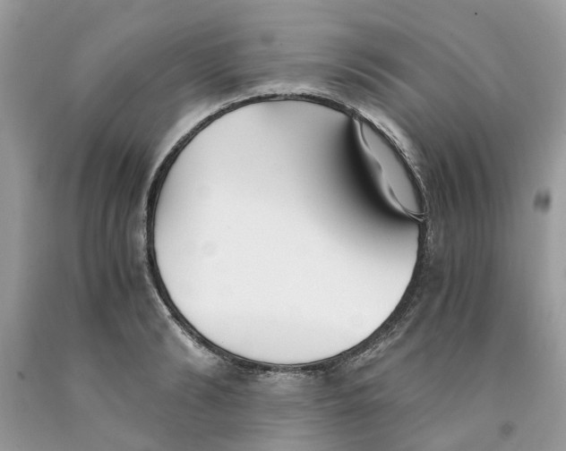 X0000091520894200709141412