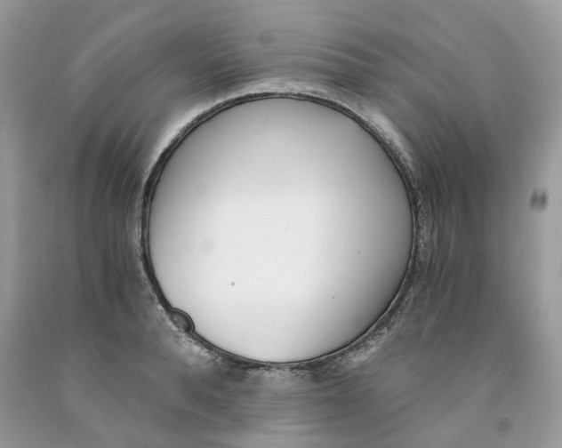 X0000091520896200709141412