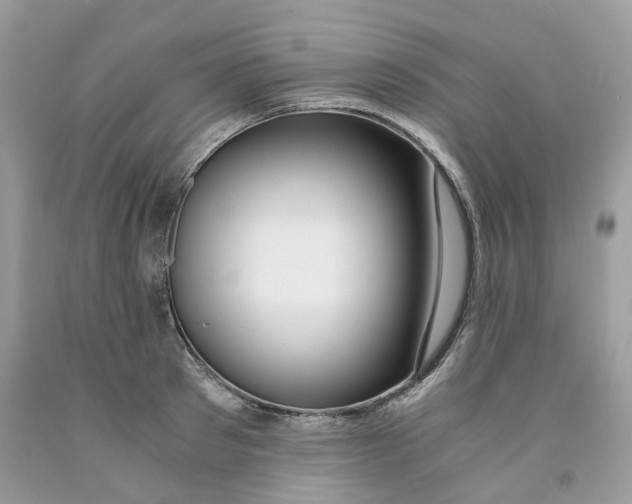 X0000091520897200709141412