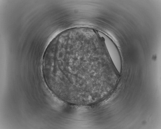 X0000091520899200709141412