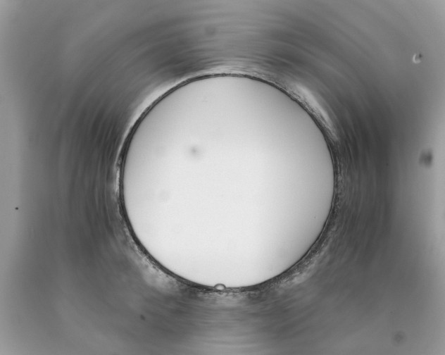 X0000091520900200709141412