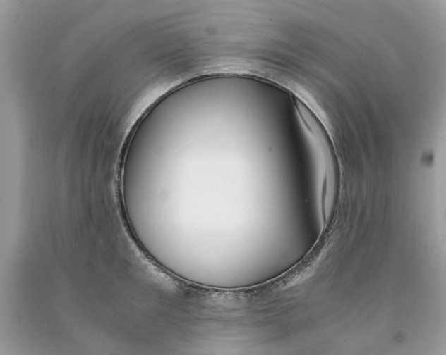 X0000091520901200709141412