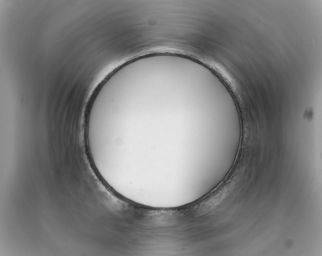 X0000091520902200709141412