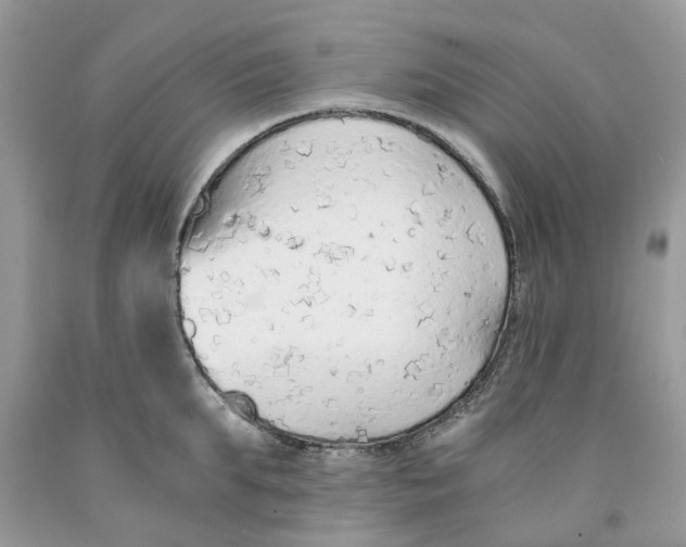 X0000091520903200709141412