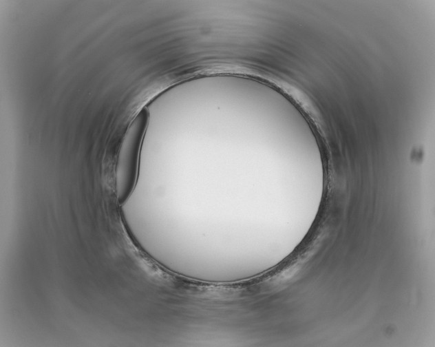 X0000091520905200709141412