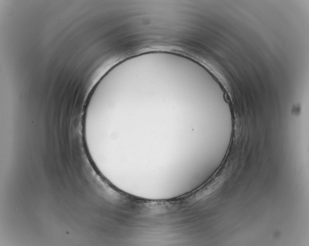 X0000091520906200709141412