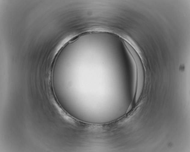 X0000091520909200709141412