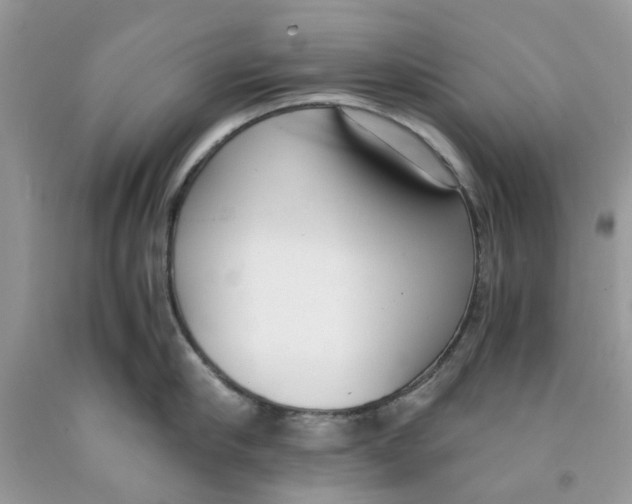 X0000091520910200709141412