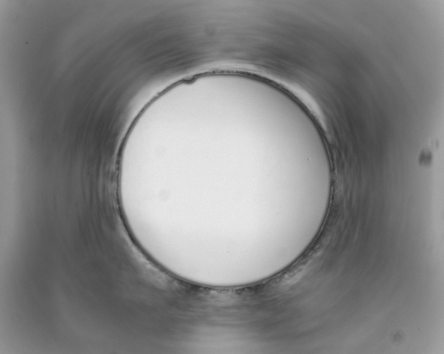 X0000091520911200709141412