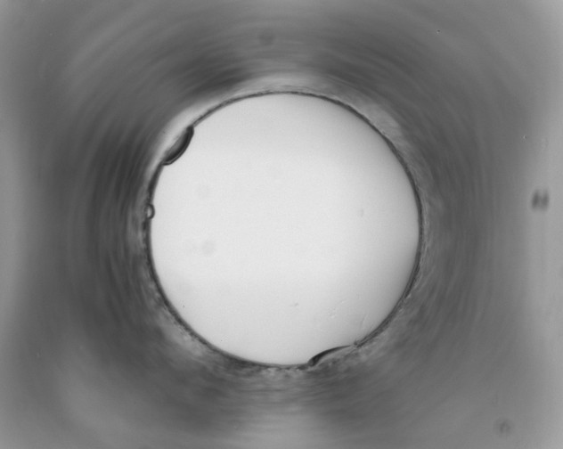 X0000091520912200709141412