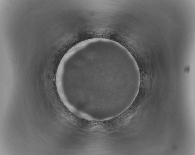 X0000091520913200709141412