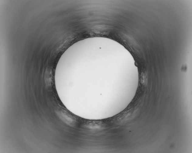 X0000091520915200709141412