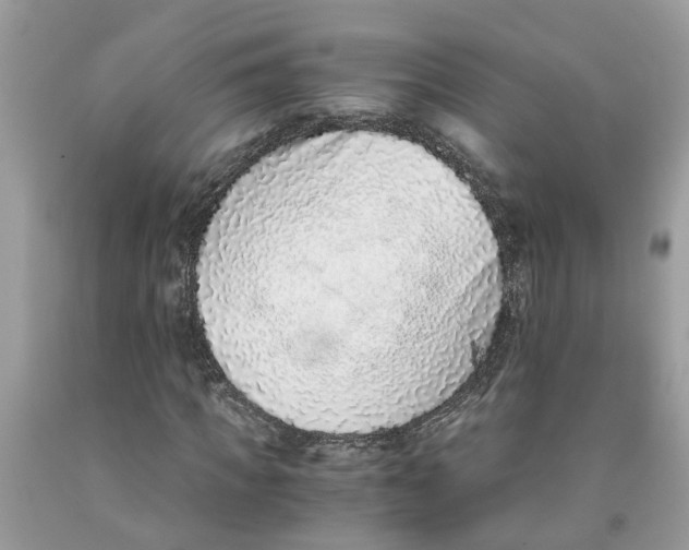 X0000091520917200709141412