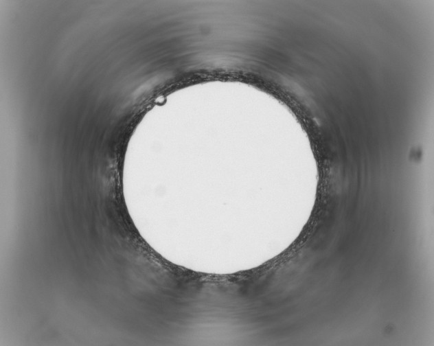 X0000091520918200709141412