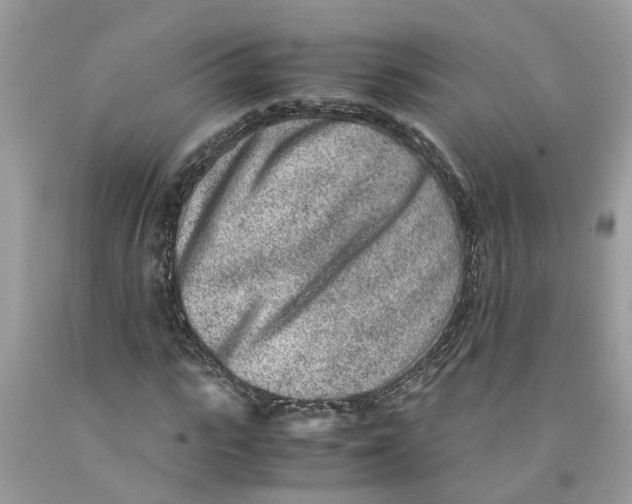 X0000091520919200709141412