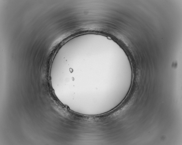 X0000091520922200709141412