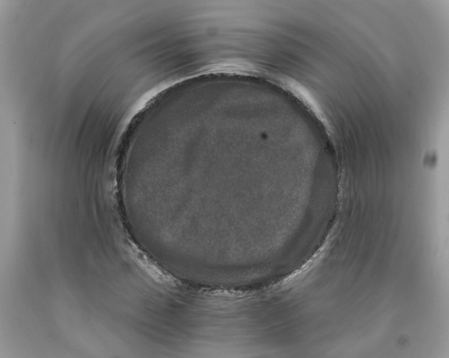 X0000091520923200709141412