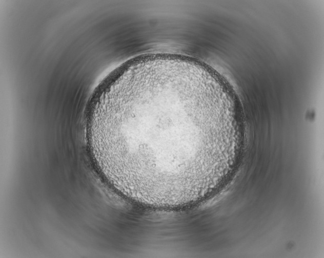 X0000091520925200709141412