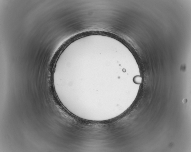 X0000091520926200709141412