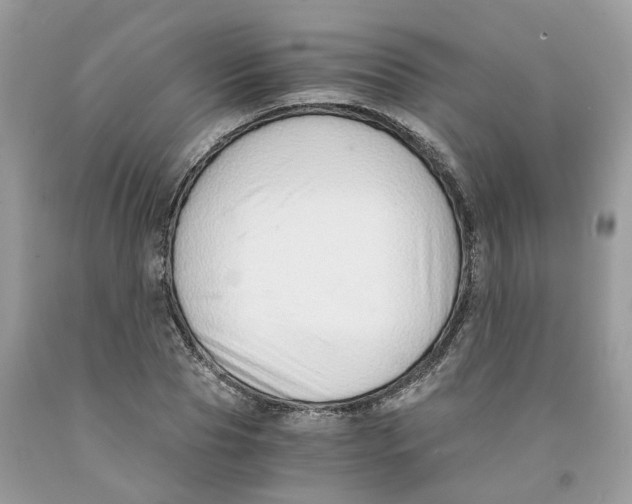 X0000091520929200709141412