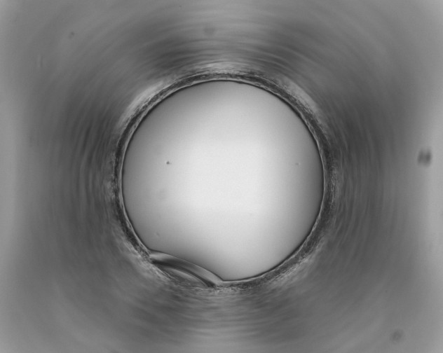 X0000091520930200709141412