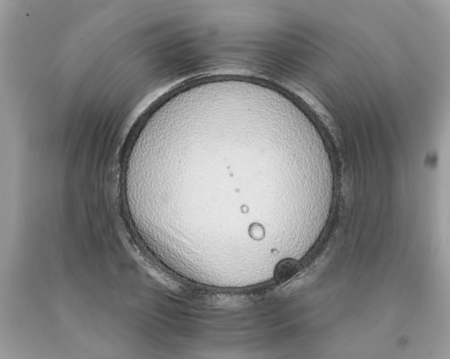 X0000091520933200709141412