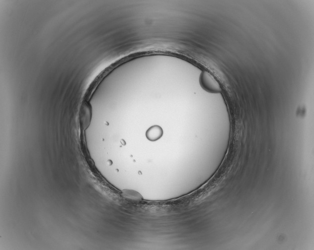 X0000091520936200709141412