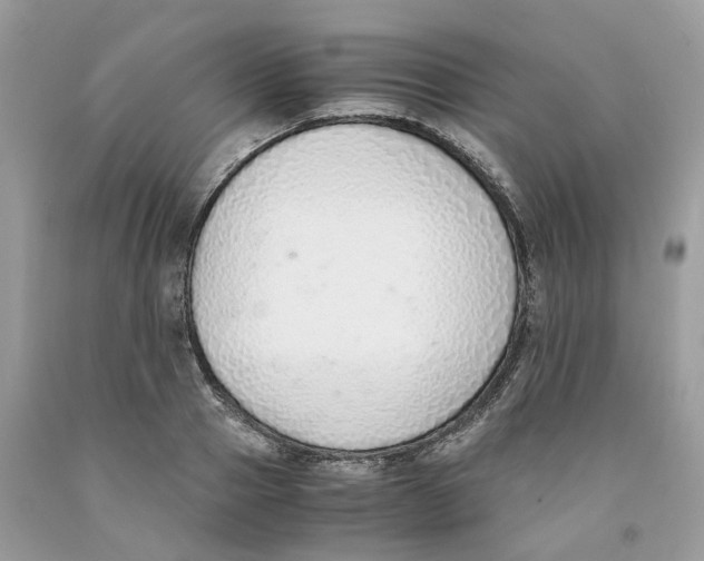 X0000091520937200709141412