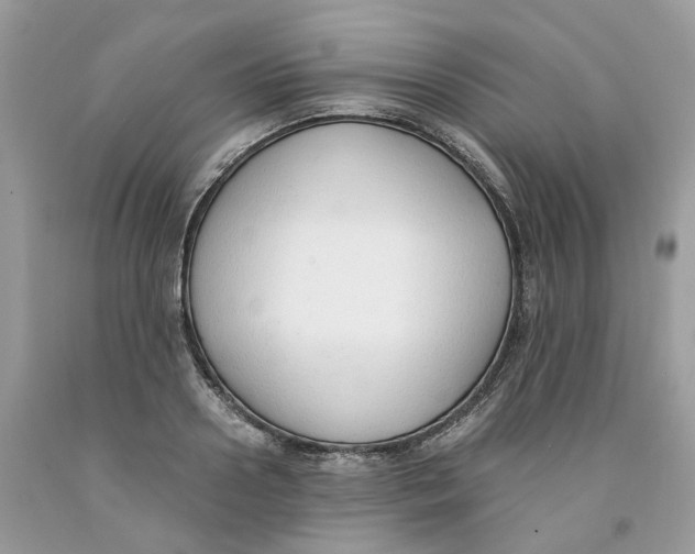 X0000091520938200709141412