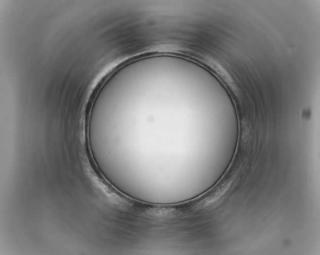 X0000091520939200709141412