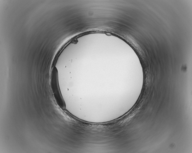 X0000091520940200709141412