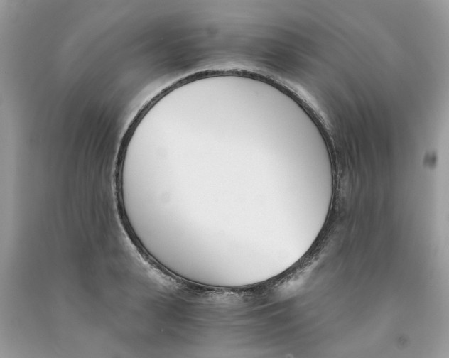 X0000091520943200709141412