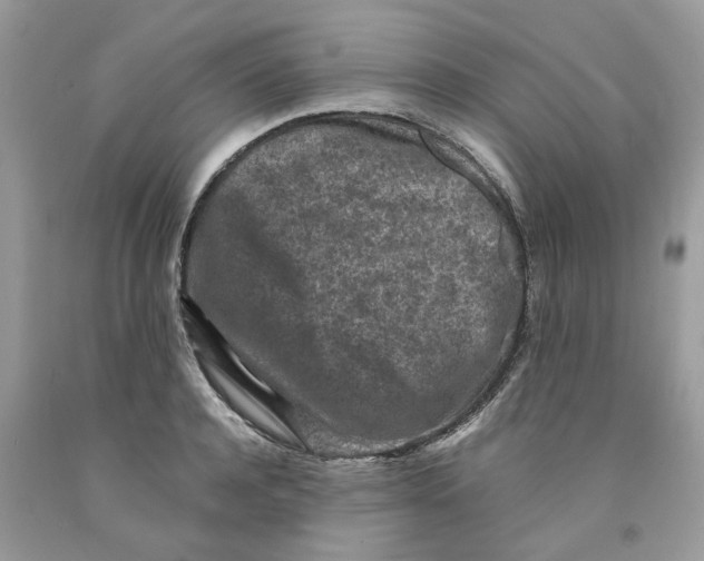 X0000091520944200709141412