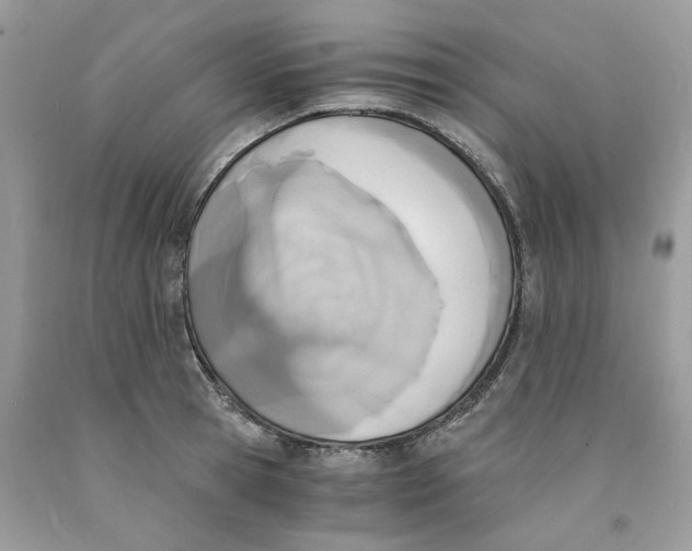 X0000091520945200709141412