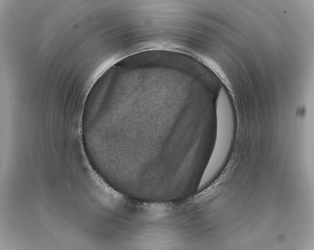 X0000091520946200709141412