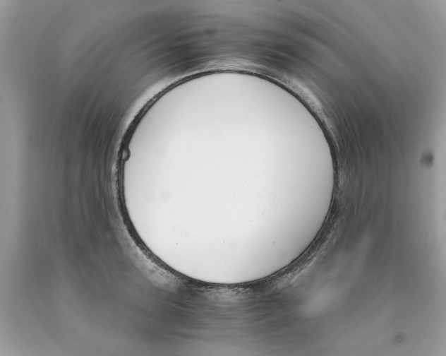 X0000091520947200709141412