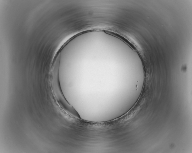 X0000091520948200709141412