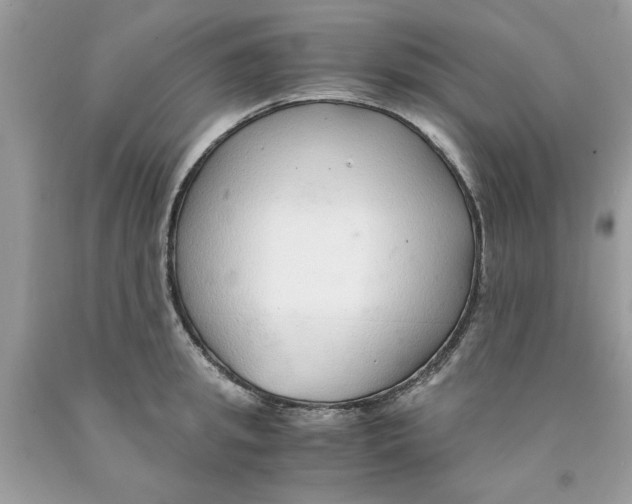 X0000091520949200709141412