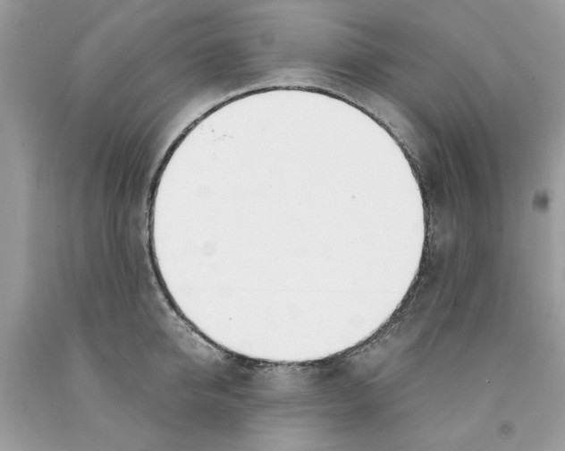 X0000091520950200709141412