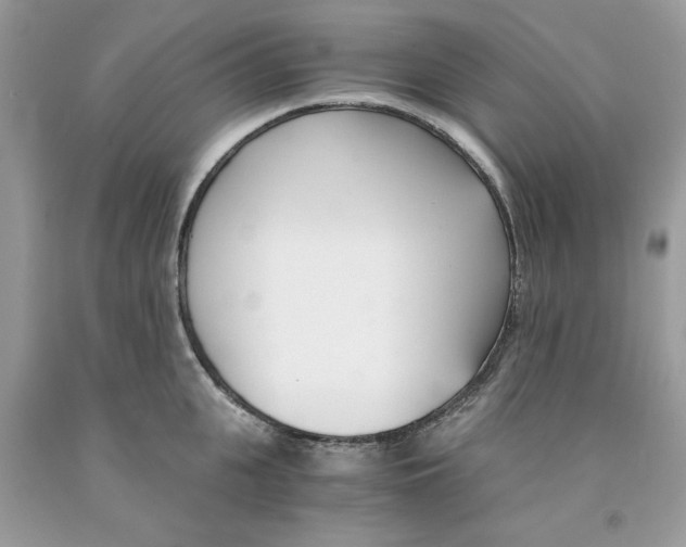 X0000091520951200709141412