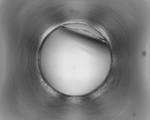 X0000091520952200709141412