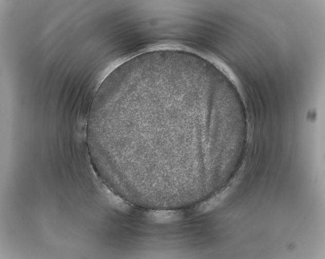 X0000091520953200709141412