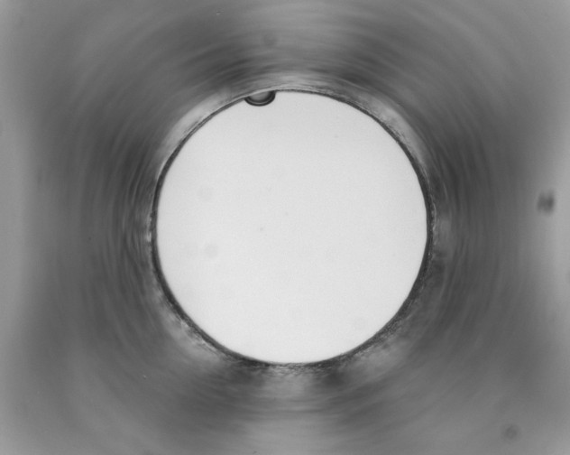 X0000091520954200709141412