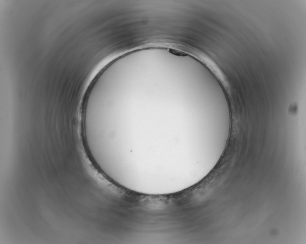 X0000091520955200709141412